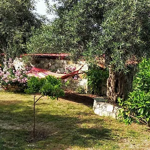https://filoxenia-wooden-rooms.albaniahotels.org